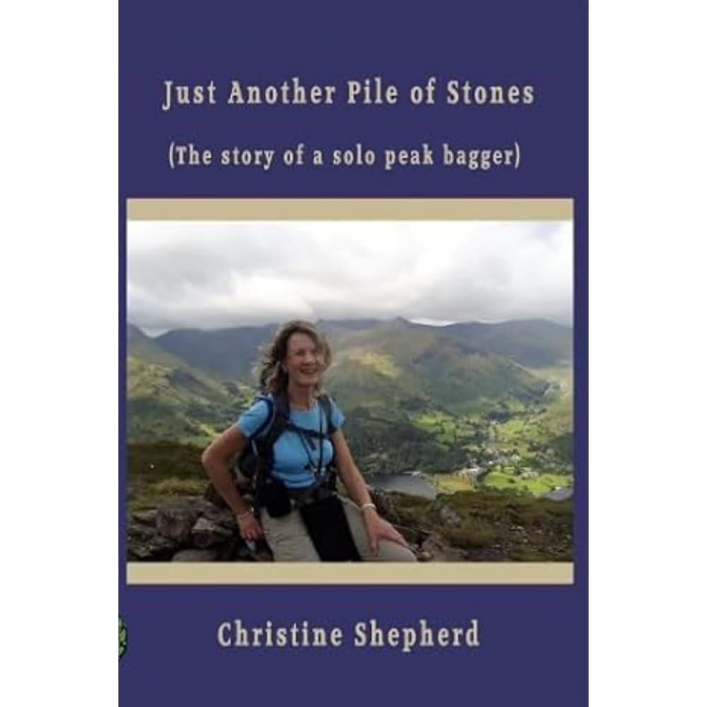 Just Another Pile of Stones by Christine Shepherd - 9781916966093