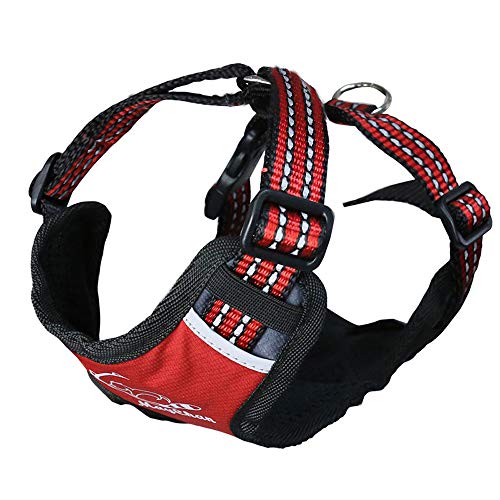 MNC Pet X-Sport - Arnés de Malla 3D, Grande, Color Rojo