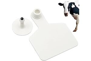 Blank Cattle Ear Tags For Livestock Identification