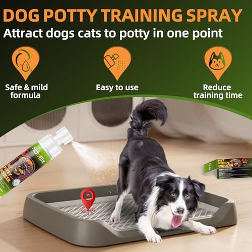 Dog Potty Training Spray for Dogs and Puppies - Go Here Attractant Spray to Pee and Poop in One Spot,Safe & Effective Puppy Pee Spray Indoor & Outdoor-Dog Training & Housebreaking Aid -100ml - Image 3