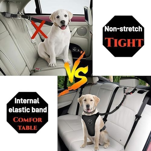 Dog Car Safety Leash for Ford Bronco Bronco Sport - 5