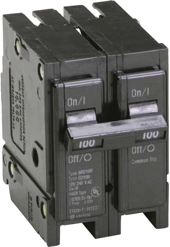 Eaton BR 100A Double-Pole Standard Trip Circuit Breaker - 1 Each