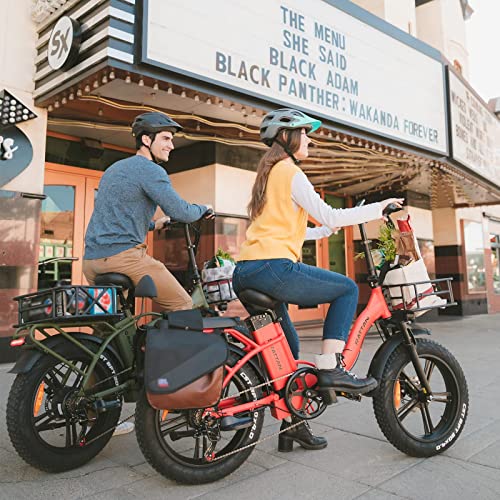 Rattan 750W Electric Bike For Adults 48V 13Ah Removable Battery Foldable Electric Bikes Lm/Lf Pro Ebike 20" X 4.0 Fat Tire Electric Bicycles 2 Seater (Standard, Lm Gray) #TOP7