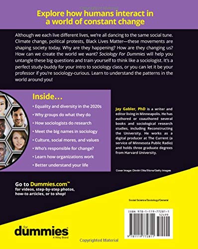 Sociology For Dummies - Image 2