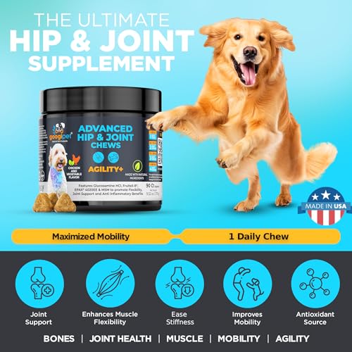 Image of Googipet Premium Hip and Joint Supplement for Dogs - Glucosamine Soft Chews w /Green Lipped Mussels for Dogs, Dog Joint Supplement Turmeric for Mobility, Ages, & Breeds