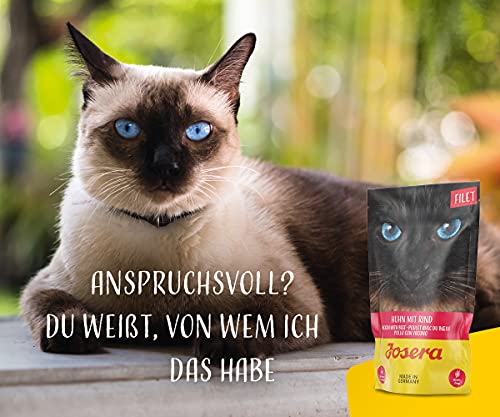 JOSERA Filet Huhn mit Rind (16 x 70 g) | Adult | Premium Nassfutter für ausgewachsene Katzen | Huhn & Rind mit 40% Hühnerfilet | getreidefrei | Katzenfutter nass im Frischebeutel | 16er Pack