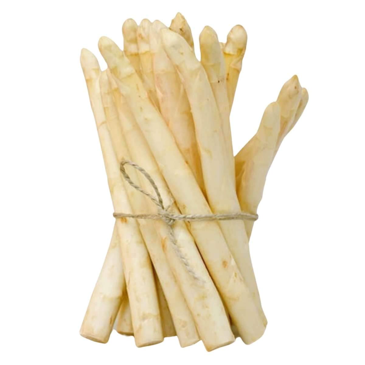 Espárragos de Navarra Extra Blancos Extra Gruesos Pelados - Denominación de Origen Navarra - Especial 6-8 Frutos J. Vela 780G. Producto Recomendado - espárragos de un calibre Extra Grueso