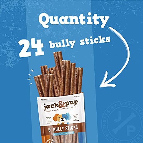 JackPup-6-Inch-Bully-Sticks-for-Medium-Dogs-Thick-Odor-Free-Bully-Sticks-for-Large-Dogs-All-Natural-Beef-Pizzle-Sticks-Thick-24-Pack - Cucciolini Doodles   JackPup-6-Inch-Bully-Sticks-for-Medium-Dogs-Thick-Odor-Free-Bully-Sticks-for-Large-Dogs-All-Natural-Beef-Pizzle-Sticks-Thick-24-Pack