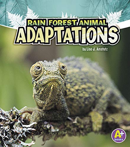 Rain Forest Animal Adaptations (Amazing Animal Adaptations)
