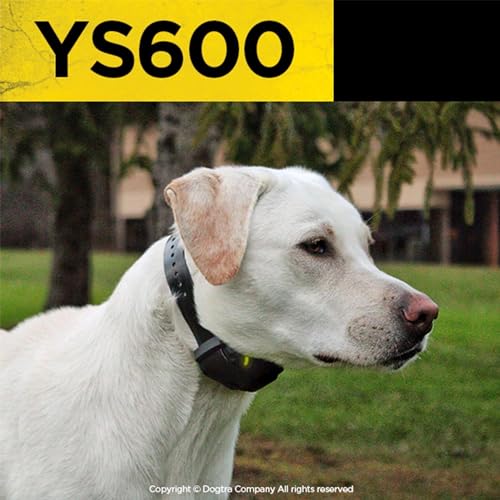 Image of Dogtra YS600 Rechargeable Waterproof High-Output No Bark Collar
