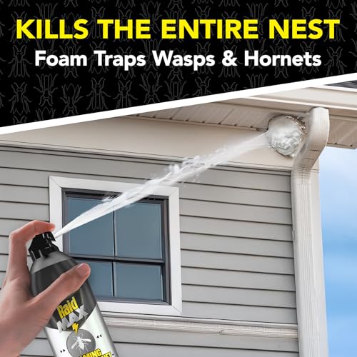Image of Raid MAX Foaming Wasp & Hornet Killer, Fast Coverage Foam, Outdoor Bug Spray, 16.5 oz