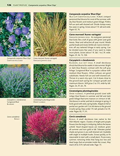 Mid-Atlantic Home Landscaping, 4th Edition: 46 Landscape Designs with 200+ Plants & Flowers for Your Region (Creative Homeowner) Ideas, Plans, and Outdoor DIY for DE, MD, PA, NJ, NY, VA, and WV - Image 7