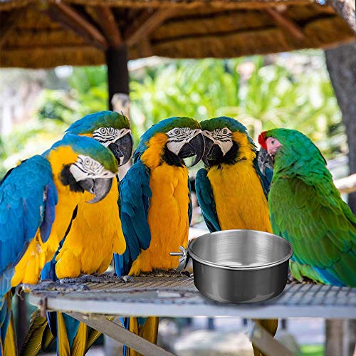 Water Food Bowl Bird Cage Cups, 2 stuks RVS Vogel Opknoping Bowl, Vogelvoeding Schotel Cups, Dierenkooi Water Food Bowl… - Afbeelding 8