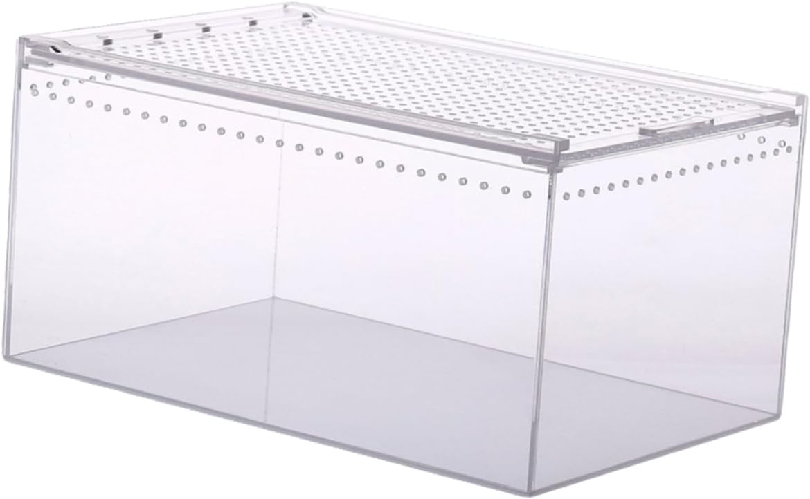 Kisangel Transparent Reptile Box Climbing Pet Feeding Container No Assembly Required for Turtles Snakes Spiders and Easy Care Safe Design