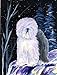 PatioPlus Starry Night Old English Sheepdog Flag - Garden Size44; 11 x 15 in.