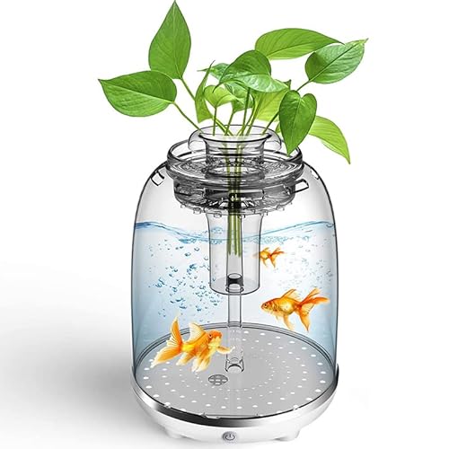 Xumh2024-3 Pecera Acuario Redondo Mini Peces Tanque Pequeño Tanque De Pescado Paisaje Tanque Automático Filtrado De Peces Tanques Con Dirigió Luz Para Exhibición En El Escritorio Xumh2024-3 Pecera Acuario Redondo Mini Peces Tanque Pequeño Tanque De Pescado Paisaje Tanque Automático Filtrado De Peces Tanques Con Dirigió Luz Para Exhibición En El Escritorio