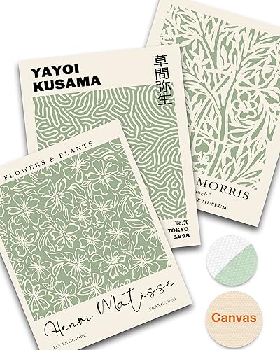 HesenDot Unframed Matisse Sage Green Wall Art Poster,Plants Botanical Canvas Wall Decor,30x40CM Poster Prints,Minimalist Classic Home Decor for Living Room Bedroom Bathroom Office,Set of 3