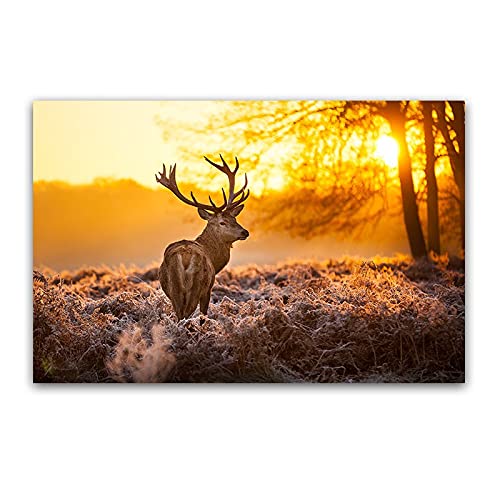 Peinture diamant 5D lever de soleil œuvre d'art relaxante chez soi