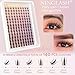 Fairy Lash Clusters Manga Cluster Eyelash NINGLASH Anime Lash Clusters Wispy Eyelashes Extensions Natural Look C Curl Individual 8-18MM 140pcs Wet-Look Spiky Eye Lash Ultra-Thin Clear Lash Band