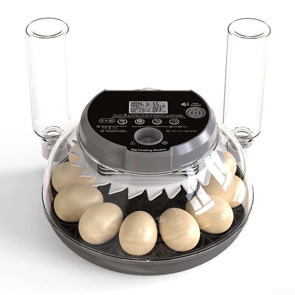 Incubatrice Automatica 12 Uova con Controllo Vocale