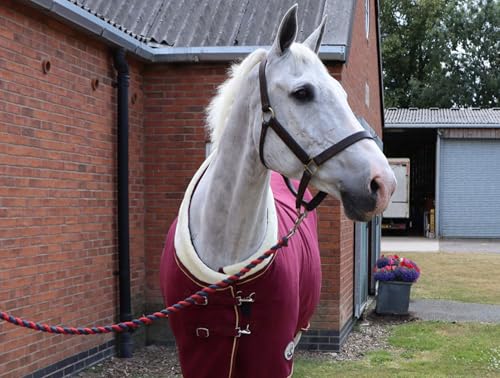 Ruggles Show Fleece Rug For Horse and Pony | Smart versatile Rug Ideal for Shows, Travel, Stable, after Exercise or Bathing (Burgundy, 6') - Image 3