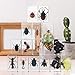 CroBlissful 16 Pcs Insect in Resin Specimen Bugs Collection Paperweights Arachnid Resin Specimen Gift for Christmas Preschool Classroom Science Home Displays Kids
