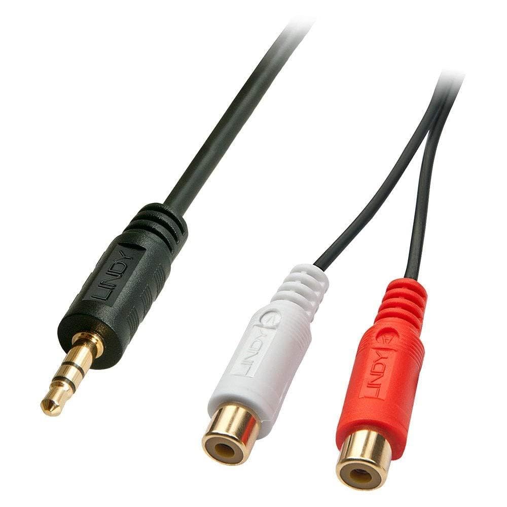 LINDY 0.25 m AV Adapter Cable 3.5 mm Male to 2 x RCA Female - Black