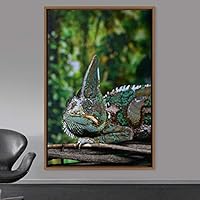 Framed Canvas Wall Art Reptile Contemporary Dramatic Hallway Iguana Multicolor Photography Reptiles - 16x24 inches