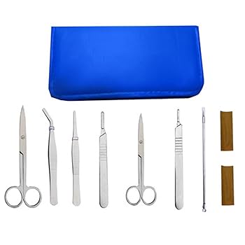 東京海洋大学　解剖セット 51hR9dtmQdL._UF350,350_QL80_.jpg