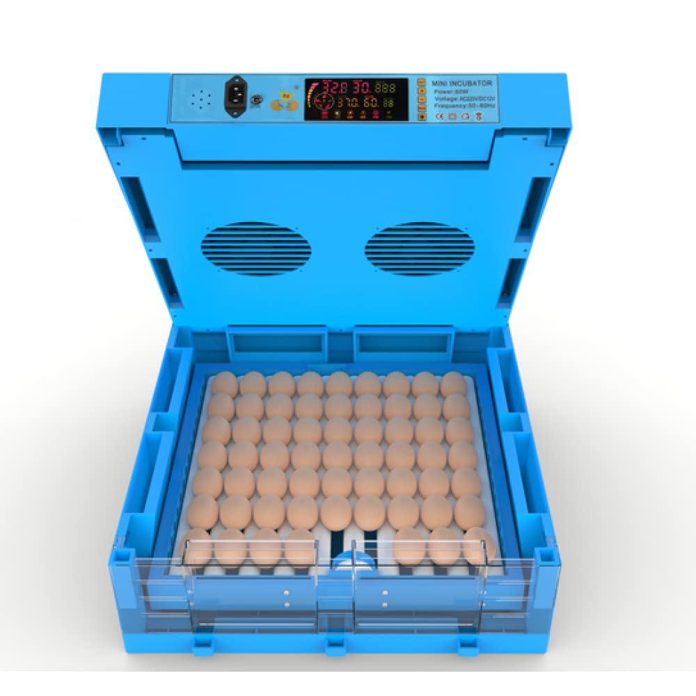 Newest Chicken Egg Rolling Type Automatic Egg Incubator (Red) (Any Size Egg can be Hatched) by Ndeal Capacity of - (64 egg incubator)-image-5