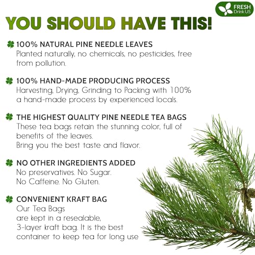 Image of FreshDrinkUS, Pine Needle Tea Bags - 135 Tea Bags, Naturally Caffeine-Free, Refreshing Herbal Tea, Wild-Harvested Pine Leaves, Aromatic and Soothing - Non-GMO & Eco-Friendly Packaging