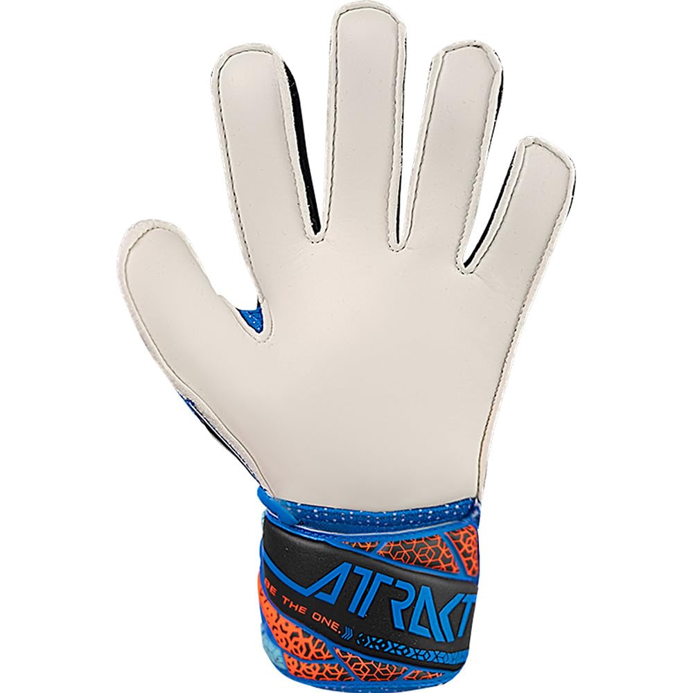 Reuch Attract Solid Junior Soccer Keeper Gloves Keite 25SS [5562515-4467] [4467] Electric Blue 7 5562515