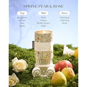 Msensespringpearrosescentedcandlemediumjarcandle113oznaturalsoywaxforhomescentedfloralcandlesgiftforspringholidayupto60hoursburninglonglastingfragrance Urban Country Home Decor Msense spring pear rose scented candle medium jar candle 113oz natural soy wax for home scented floral candles gift for spring holiday up to 60 hours burning long lasting fragrance urban country home decor