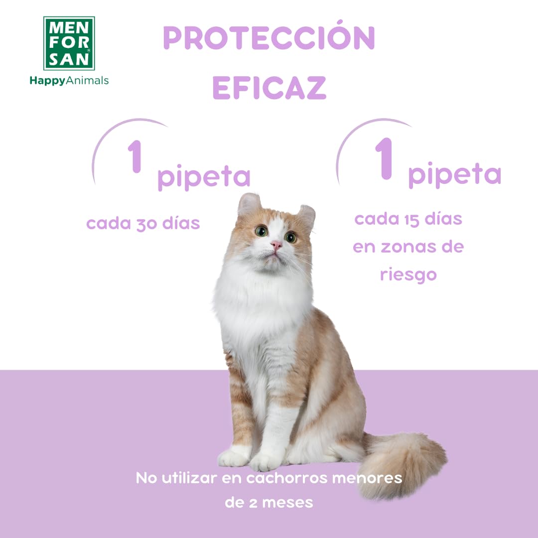 MENFORSAN Pack con 12 Pipetas Anti-Insectos para Gatos, con Margosa, Geraniol y Lavandino, Bolsa autocierre