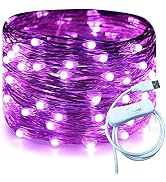 RUICHEN Silver Wire 33 Ft 100 LED USB Fairy String Lights with On/Off Switch (Purple)