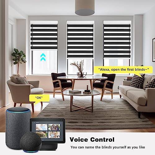 Image of Changshade Smart Zebra Roller Blinds Motorized Shades Work with Alexa, Window Shade Intelligent Electric Automatic, Black, JZCMD-RBS-BK-DNA (MYDY25Z-1)