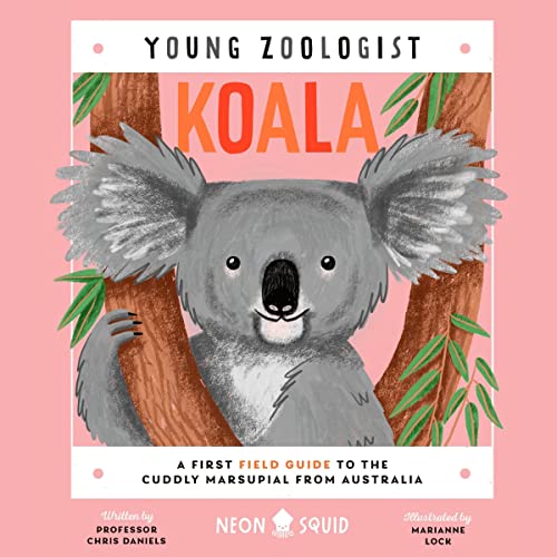 Koala by Chris Daniels, Neon Squid episode artwork