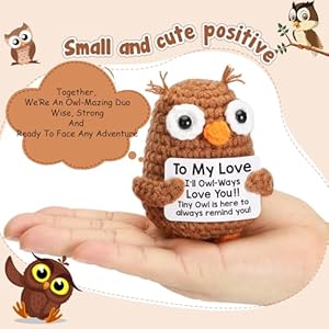 Mini Gifts for Boyfriend Girlfriend Wife Husband, to My Love Handmade Crochet Cute Owl for Birthday Stocking, Couple Romantic Gifts for Valentines Her Him, Best for Lover's Birthday, Anniversary Mini Gifts for Boyfriend Girlfriend Wife Husband to My Love Handmade Crochet Cute Owl for Birthday Stocking Couple Romantic Gifts for Valentines Her Him Best for Lovers Birthday Anniversary