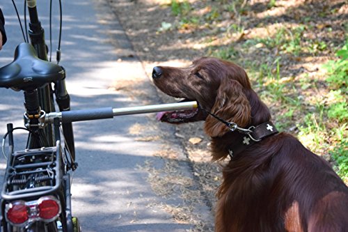 dobar® 62000 Walky Dog Plus Hunde Fahrradleine - Abstandhalter aus Edelstahl - Fahrradhalter mit Dreifach-Rückdämpfer - Zugkraftleine mit Quicklock und Abstandhalter - 37.5 cm - Silber