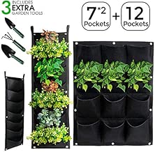 Amazon.es: huerto urbano vertical