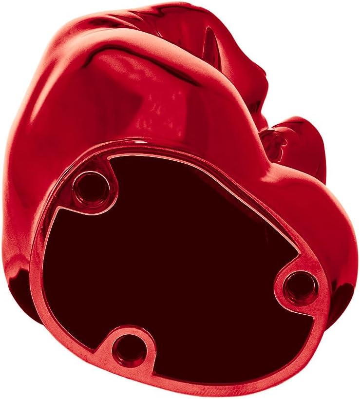 United Pacific 72086 Cast Aluminum The Middle Finger Hood Ornament, Easy Install, Mounting Hardware Included, Universal Fitment – Candy Red – ONE Unit