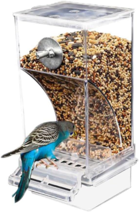 Bird Feeders Automatic Parrot Feeder Acrylic Seed Food Container Spill