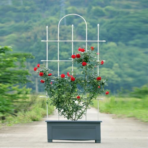 Soporte modular de acero recubierto de plástico blanco para jardín 7