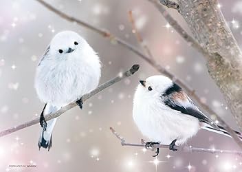 Amazon.co.jp: 株式会社ビバリー: 動物