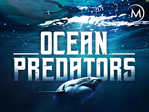 Ocean Predators