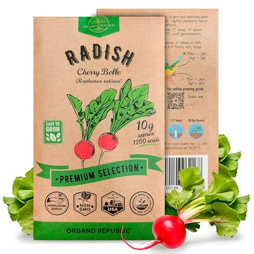 Cherry Belle Radish Seeds Pack 10 G - Over 1200 Non-GMO Heirloom Radish Seeds for Planting Vegetables in Individual Seed Packet, Vegetable Seeds for Planting Home Garden Indoor & Outdoor Gardening