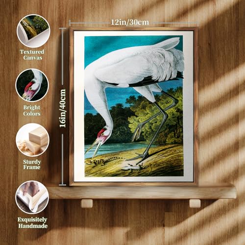 crmotu Bird Framed Wall Art, Whooping Crane Vintage Decor Paintings, Nature Animal Canvas Art Prints, Still Life Aesthetic Pictures Wall Decor Living Room Bedroom Bathroom Farmhouse Cottage, 12x16inch
