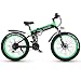 Shengmilo Bicicletas eléctricas de 26 Pulgadas, Bicicleta eléctrica de montaña Plegable, 1000W...