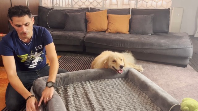 Juelle Cama Para Perros Pequeños - Almohada Para Perros Pequeños, Funda Extraíble, Lavable A Máquina Cama Mullida, Sofá Para Perros XXS-XL (Tamaño: XS - 60 X 50 Cm, Azul Cielo