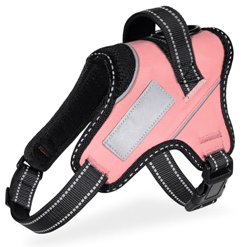 yhbOg[i[EzOGURIYA n[lX AɗD ^ ^ ^ EȒP F l[v[g Ԕ TCY\ ̍HwɊÂ 7FI(sNAXL)